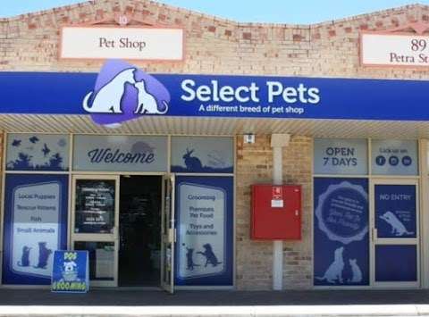 Photo: Select Pets